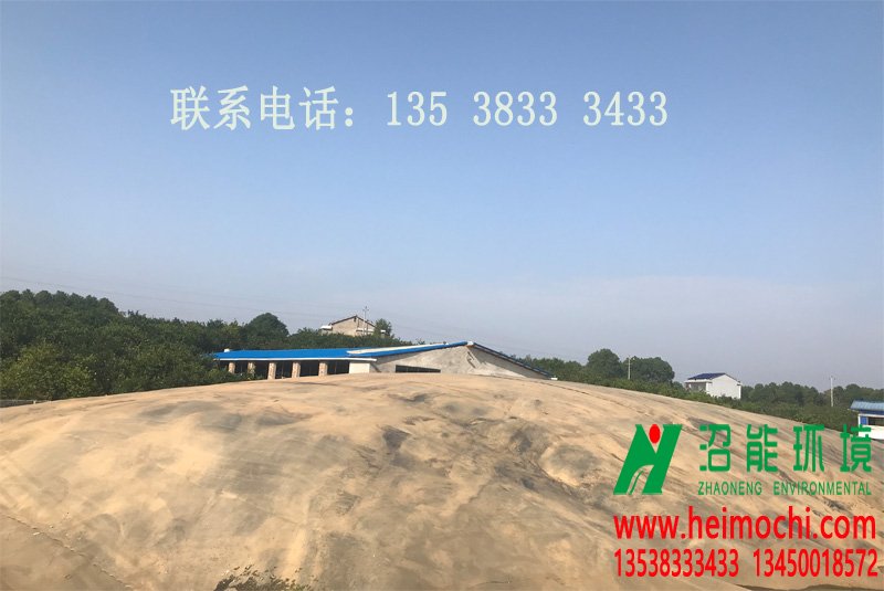 湖南益陽沅江新灣鎮(zhèn)6000立方黑膜沼氣工程 沼氣池 沼氣池成功案例