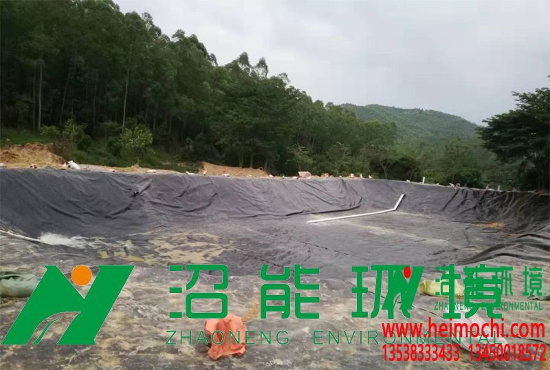 惠州惠陽(yáng)區(qū)3500立方黑膜沼氣工程 黑膜沼氣池 沼氣厭氧工藝