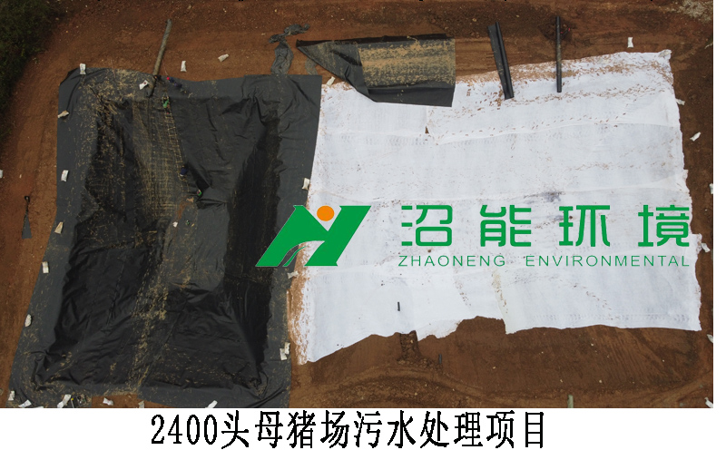 湖南新五豐股份有限公司3000