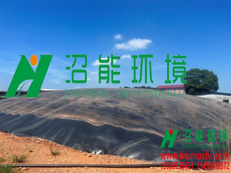 江西萍鄉(xiāng)市蘆溪奶牛場黑膜沼氣池成功產(chǎn)氣