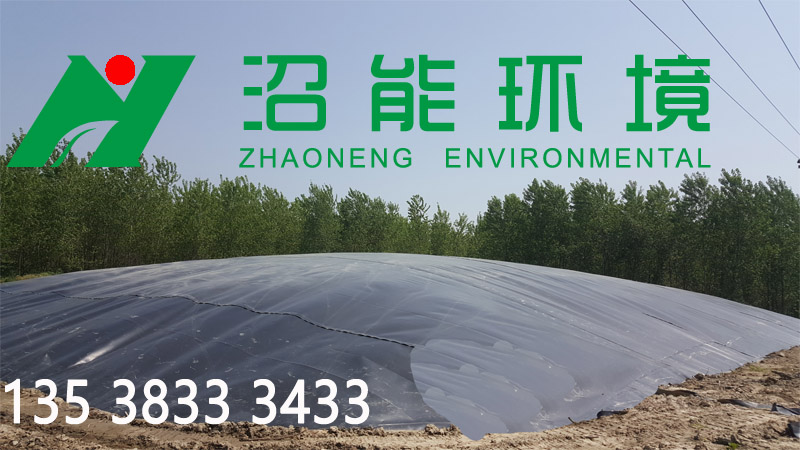 湖北潛江市老新鎮(zhèn)15000立方黑膜沼氣工程 黑膜沼