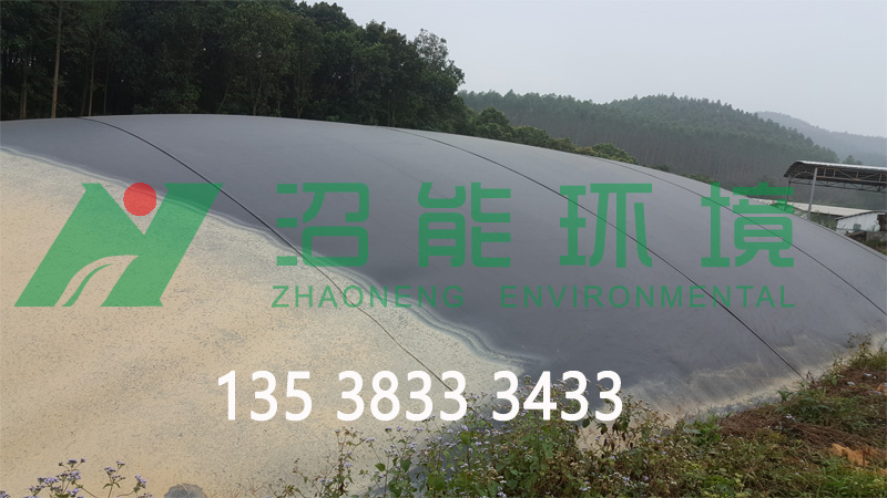 廣東江門鶴山5000立方黑膜沼氣工程 黑膜沼氣池成功案例