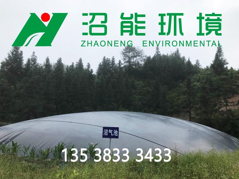 江西贛州尋烏縣3000立方黑膜沼氣工程 黑膜沼氣池成功案例