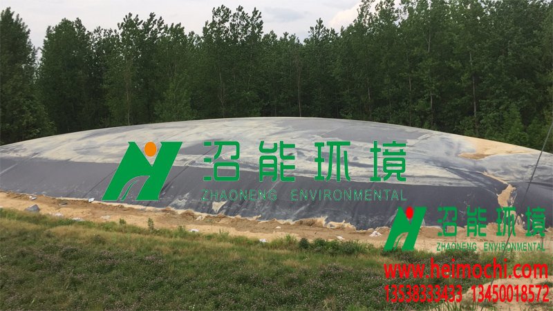 安徽宣城市旌德縣7000立方黑膜沼氣工程 黑膜沼氣池成功產(chǎn)氣案例