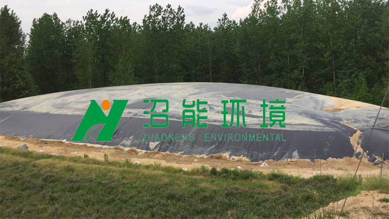 養(yǎng)豬場廢水如何處理？生態(tài)循環(huán)法，超高利用率！