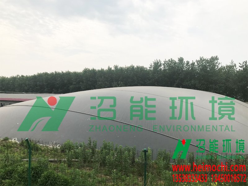 湖北潛江8000立方黑膜沼氣工程 黑膜沼氣池成功案例