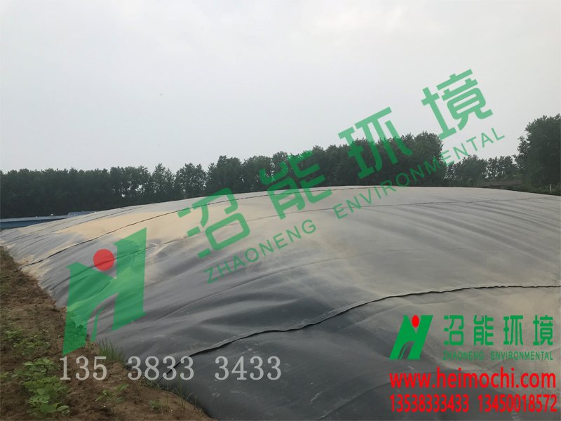 湖北潛江老新鎮(zhèn)徐李10000立方黑膜沼氣工程 l黑膜沼氣池