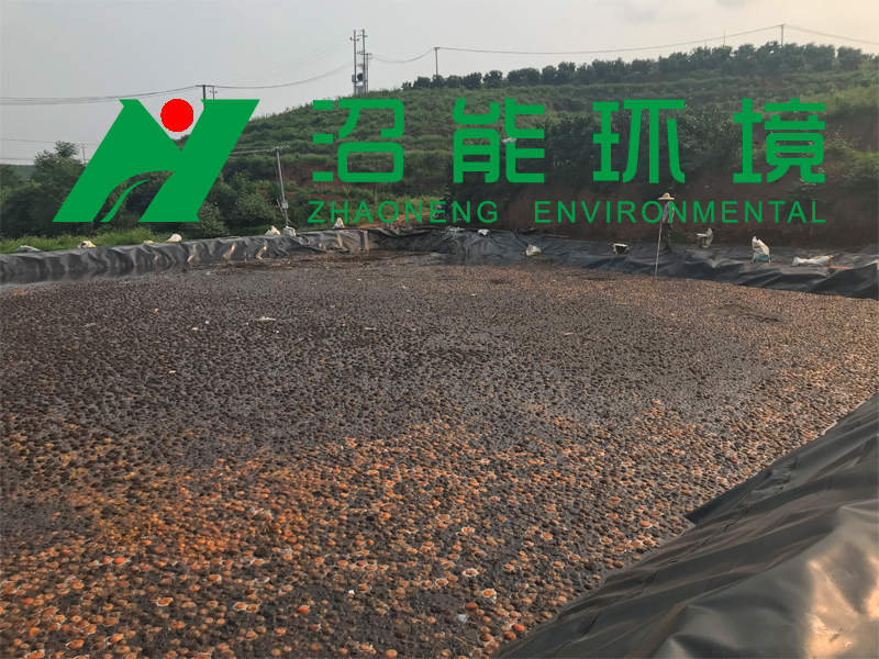 廣西南寧市邕寧區(qū)百濟(jì)鎮(zhèn)3000立方黑膜沼氣池 沼氣工程