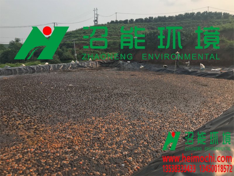 廣西南寧市邕寧區(qū)百濟(jì)鎮(zhèn)3000立方黑膜沼氣池 沼氣工程