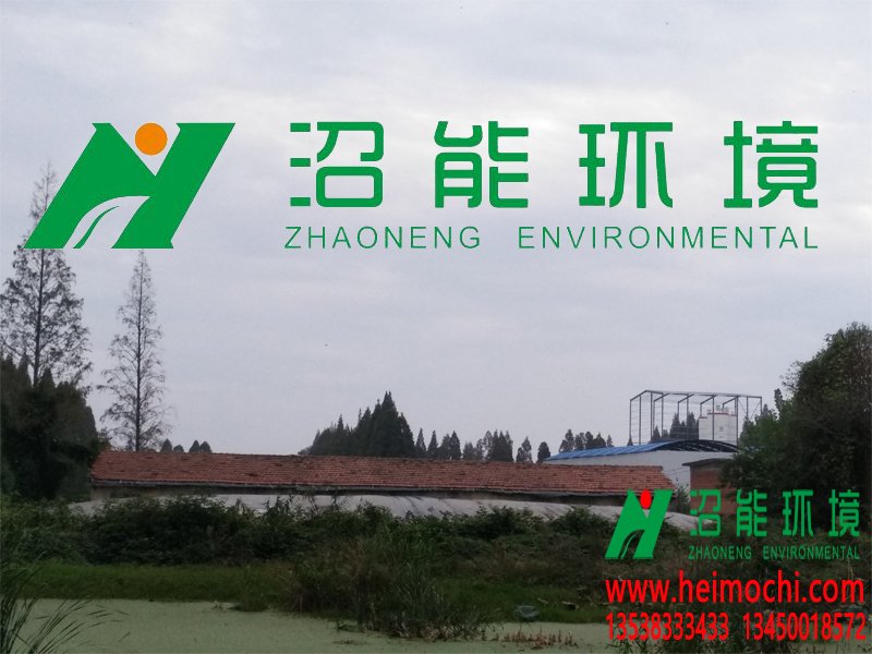 湖北潛江廣華江漢油田鄭總4000立方黑膜沼氣工程 沼氣池 厭氧沼氣工程