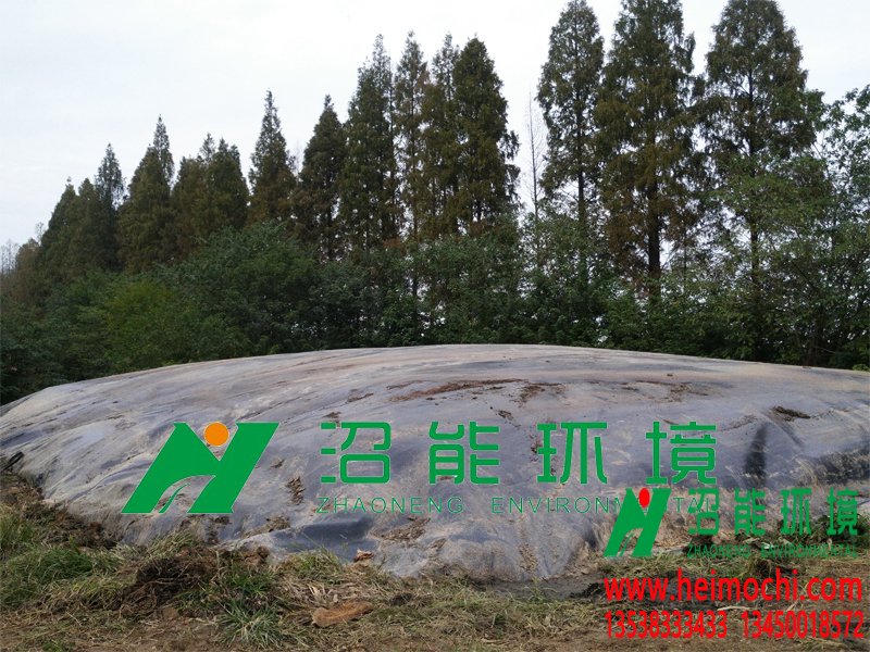 湖北潛江廣華江漢油田4000立方黑膜沼氣工程 黑膜沼氣池成功案例