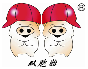 江西雙胞胎集團(tuán)