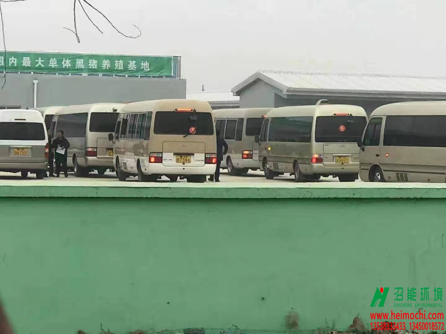 中國最大單體黑膜土豬生產(chǎn)基地 壹號(hào)土豬