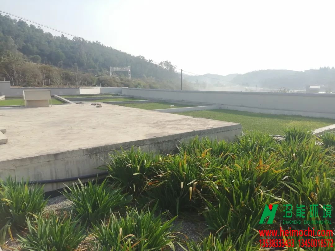養(yǎng)豬場變成“濕地公園”！這種處理糞污新模式受石屏養(yǎng)殖戶點(diǎn)贊！
