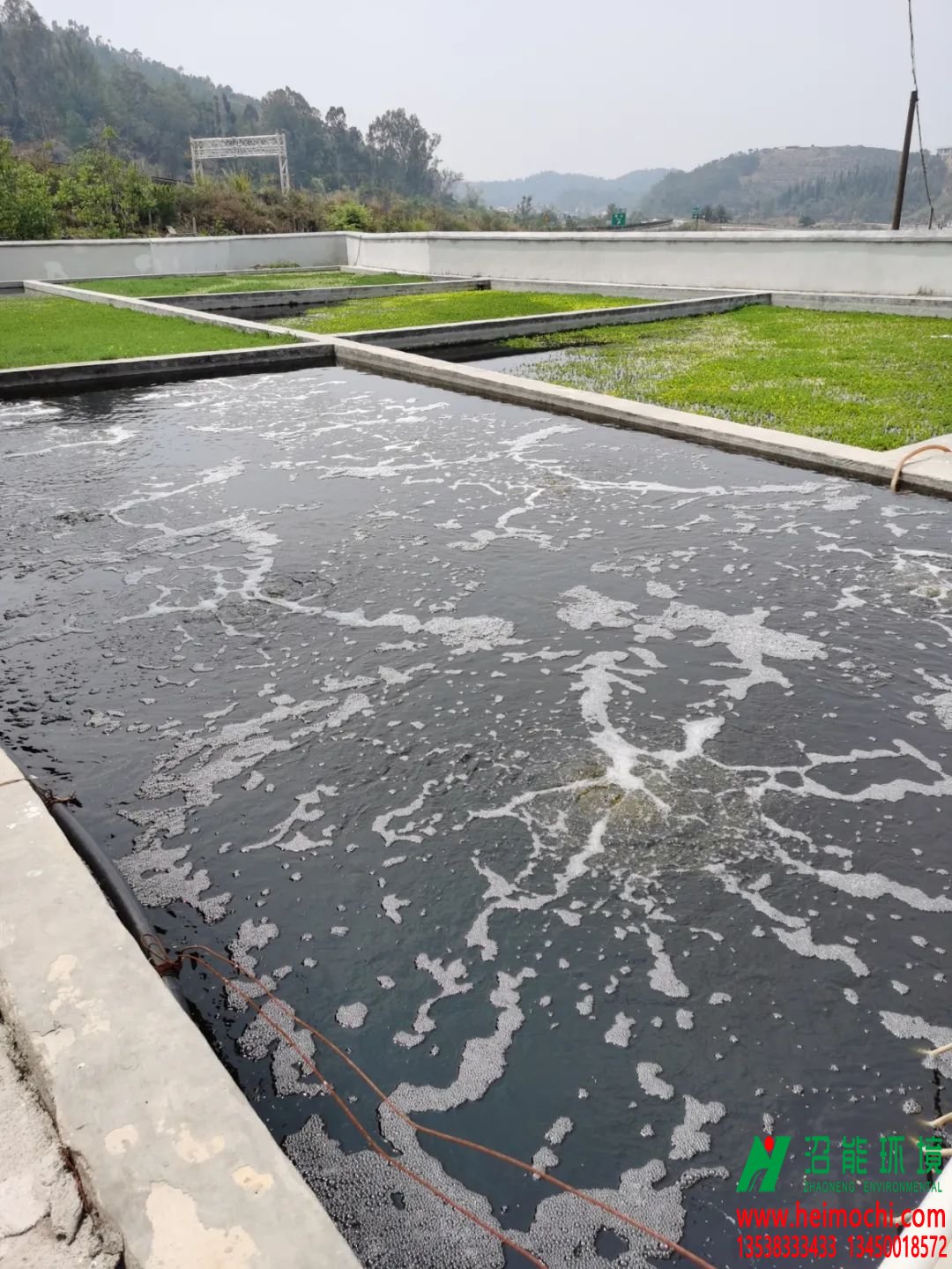 養(yǎng)豬場變成“濕地公園”！這種處理糞污新模式受石屏養(yǎng)殖戶點(diǎn)贊！