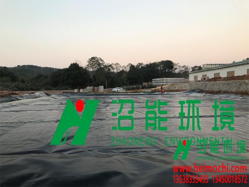 黑膜沼氣工程 養(yǎng)殖廢水處理新模