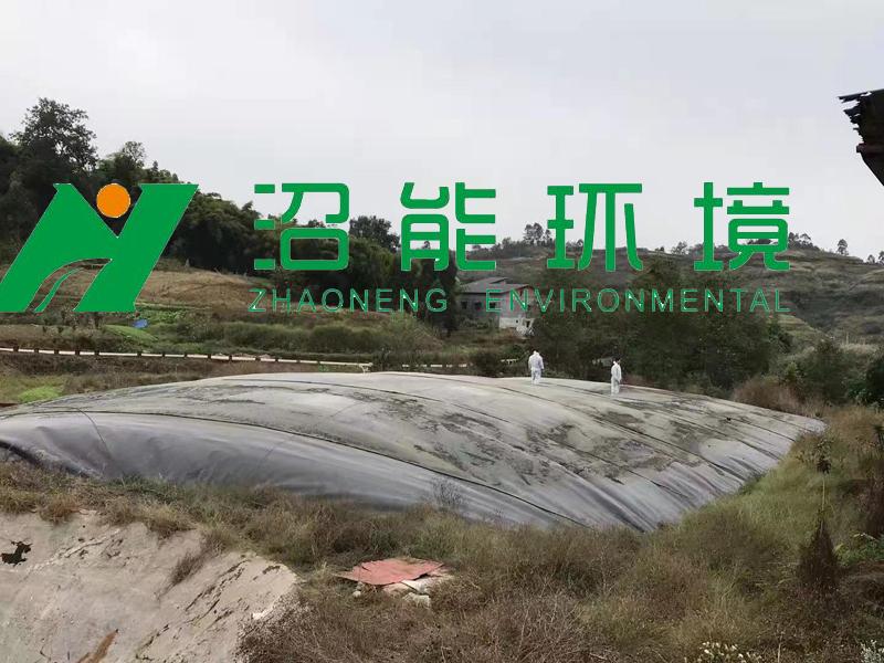 沼氣工程厭氧發(fā)酵技術(shù)是解決豬場糞污處理及資源化利用的最有效途徑之一