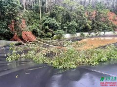 廣州奶牛研究所黑膜沼氣池修補完畢